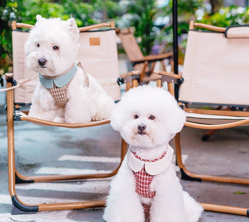 Fashion Small Vest Rope Dog HarnessFashion Small Vest Rope Dog Harness