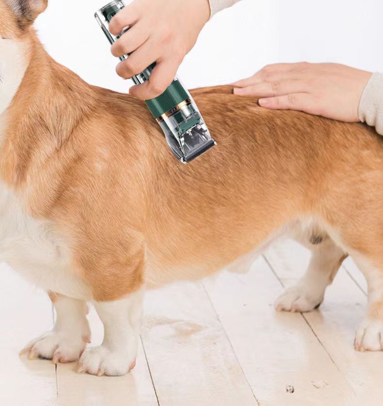 Pet Electric Hair Trimmer Cat Dog Rabbit Haircut Trimme
